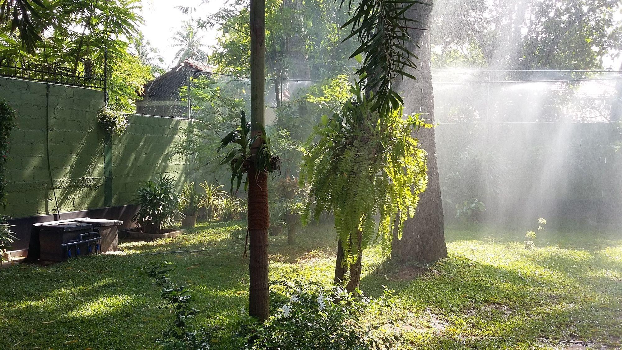 West Dene Bed & Breakfast Negombo Exterior photo